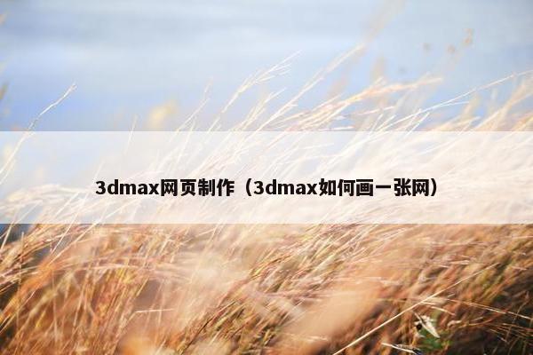 3dmax网页制作（3dmax如何画一张网）-第1张图片-冷动云