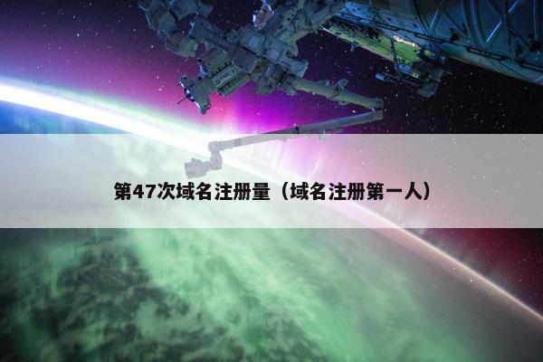第47次域名注册量（域名注册第一人）-第1张图片-冷动云