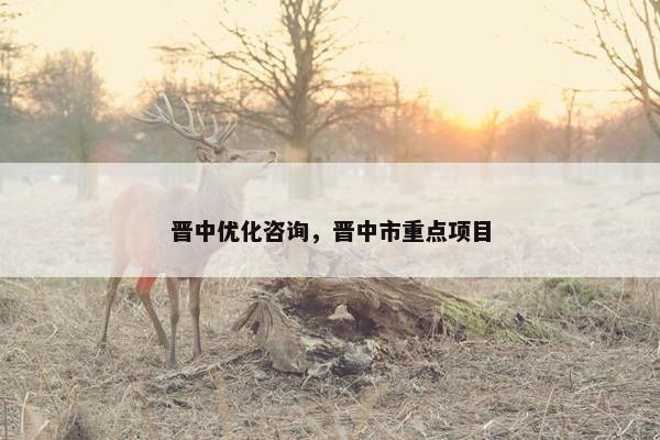 晋中优化咨询，晋中市重点项目-第1张图片-冷动云