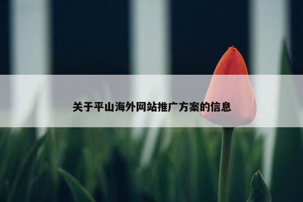 关于平山海外网站推广方案的信息-第1张图片-冷动云