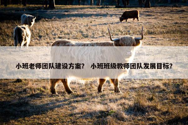 小班老师团队建设方案？ 小班班级教师团队发展目标？-第1张图片-冷动云