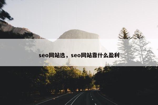 seo网站选，seo网站靠什么盈利-第1张图片-冷动云