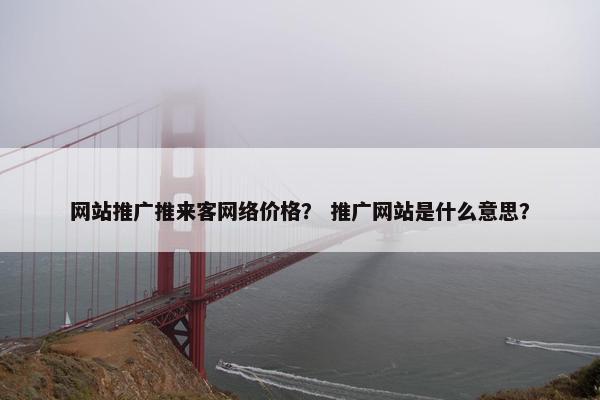 网站推广推来客网络价格？ 推广网站是什么意思？-第1张图片-冷动云