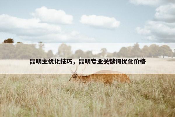 昆明主优化技巧，昆明专业关键词优化价格-第1张图片-冷动云