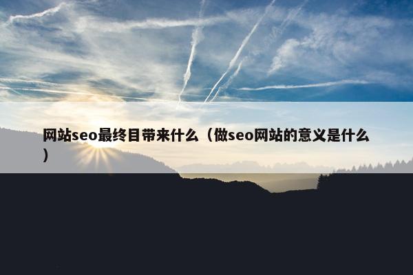 网站seo最终目带来什么（做seo网站的意义是什么）-第1张图片-冷动云