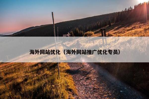 海外网站优化（海外网站推广优化专员）-第1张图片-冷动云