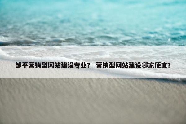 邹平营销型网站建设专业？ 营销型网站建设哪家便宜？-第1张图片-冷动云