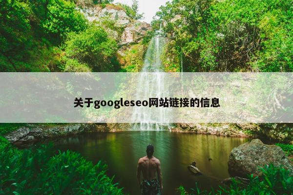 关于googleseo网站链接的信息-第1张图片-冷动云