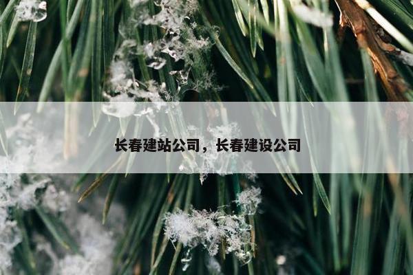长春建站公司，长春建设公司-第1张图片-冷动云