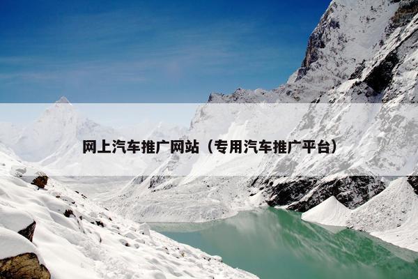 网上汽车推广网站（专用汽车推广平台）-第1张图片-冷动云