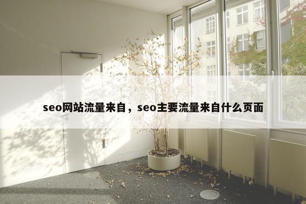seo网站流量来自，seo主要流量来自什么页面-第1张图片-冷动云