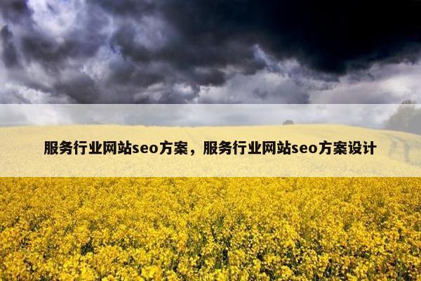 服务行业网站seo方案，服务行业网站seo方案设计-第1张图片-冷动云