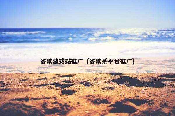 谷歌建站站推广（谷歌系平台推广）-第1张图片-冷动云