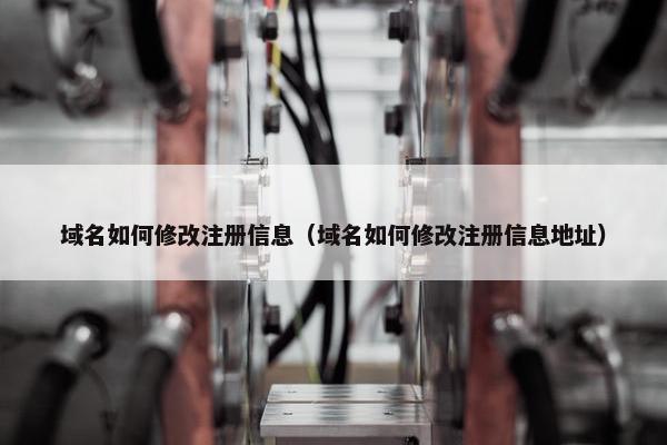 域名如何修改注册信息（域名如何修改注册信息地址）-第1张图片-冷动云