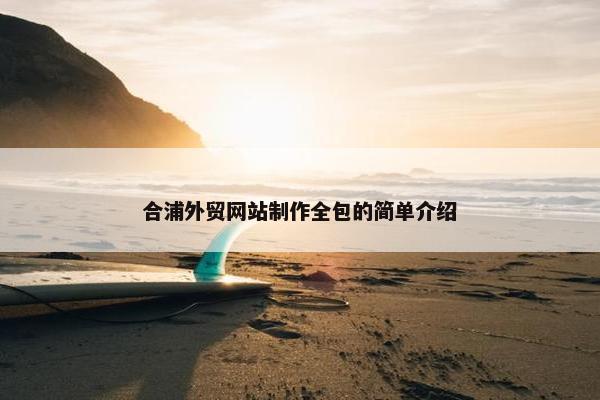合浦外贸网站制作全包的简单介绍-第1张图片-冷动云