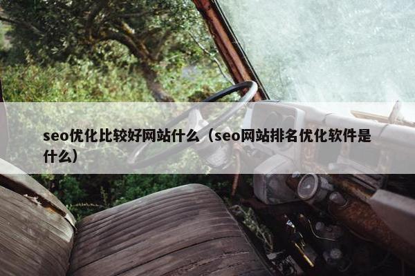 seo优化比较好网站什么（seo网站排名优化软件是什么）-第1张图片-冷动云