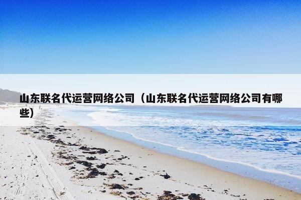 山东联名代运营网络公司（山东联名代运营网络公司有哪些）-第1张图片-冷动云
