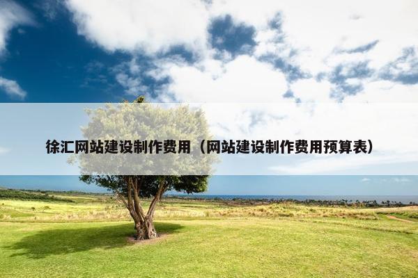 徐汇网站建设制作费用（网站建设制作费用预算表）-第1张图片-冷动云
