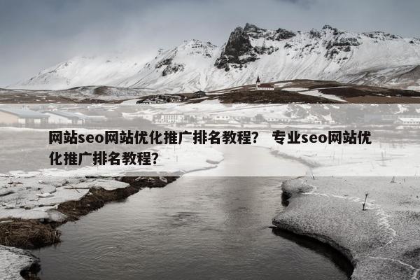 网站seo网站优化推广排名教程？ 专业seo网站优化推广排名教程？-第1张图片-冷动云