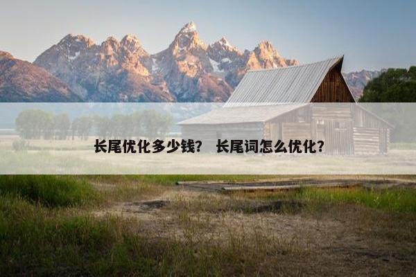 长尾优化多少钱？ 长尾词怎么优化？-第1张图片-冷动云