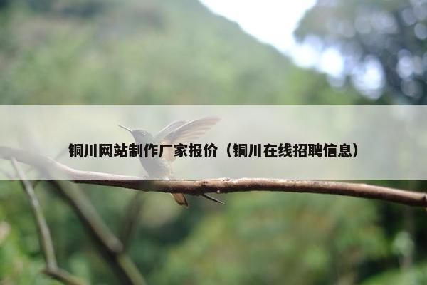 铜川网站制作厂家报价（铜川在线招聘信息）-第1张图片-冷动云