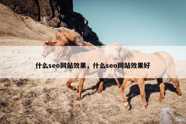 什么seo网站效果，什么seo网站效果好-第1张图片-冷动云