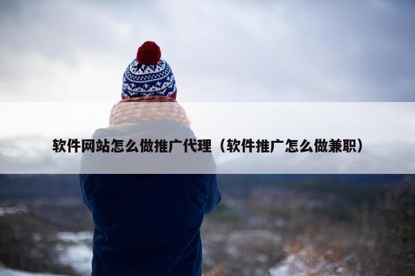 软件网站怎么做推广代理（软件推广怎么做兼职）-第1张图片-冷动云