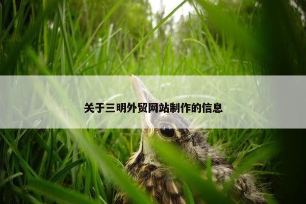 关于三明外贸网站制作的信息-第1张图片-冷动云