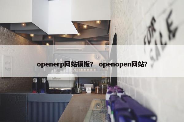 openerp网站模板？ openopen网站？-第1张图片-冷动云