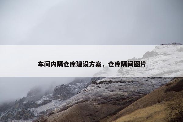 车间内隔仓库建设方案，仓库隔间图片-第1张图片-冷动云