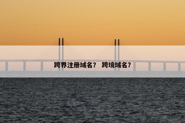 跨界注册域名？ 跨境域名？-第1张图片-冷动云