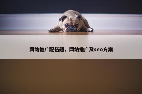 网站推广配伍题，网站推广及seo方案-第1张图片-冷动云