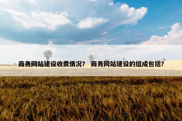 商务网站建设收费情况？ 商务网站建设的组成包括？-第1张图片-冷动云
