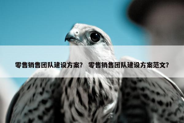 零售销售团队建设方案？ 零售销售团队建设方案范文？-第1张图片-冷动云
