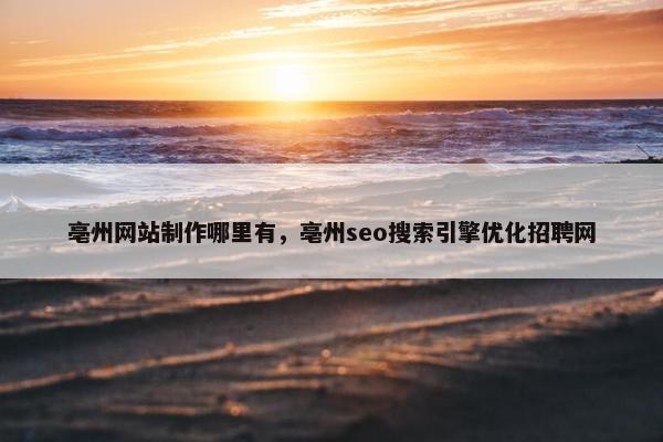 亳州网站制作哪里有，亳州seo搜索引擎优化招聘网-第1张图片-冷动云