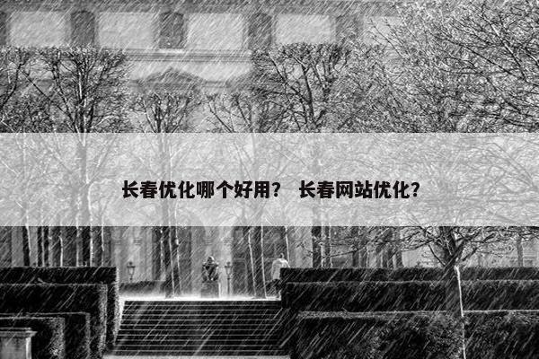 长春优化哪个好用？ 长春网站优化？-第1张图片-冷动云