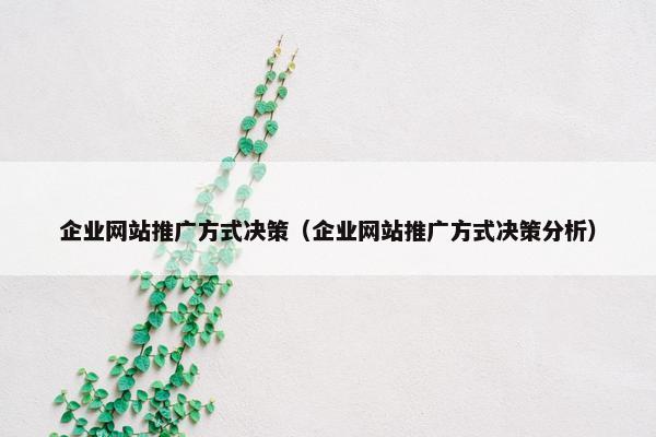 企业网站推广方式决策（企业网站推广方式决策分析）-第1张图片-冷动云