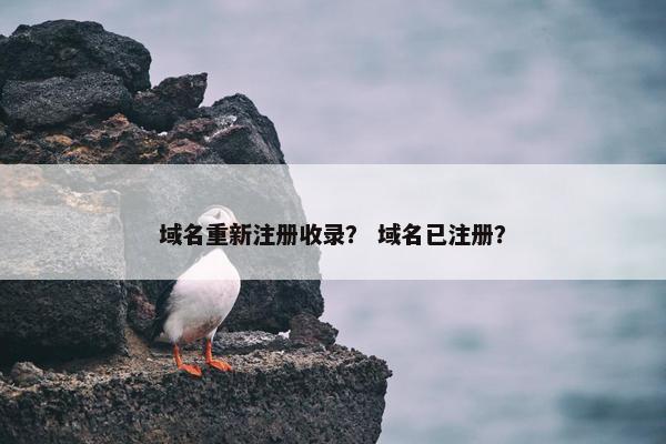 域名重新注册收录？ 域名已注册？-第1张图片-冷动云
