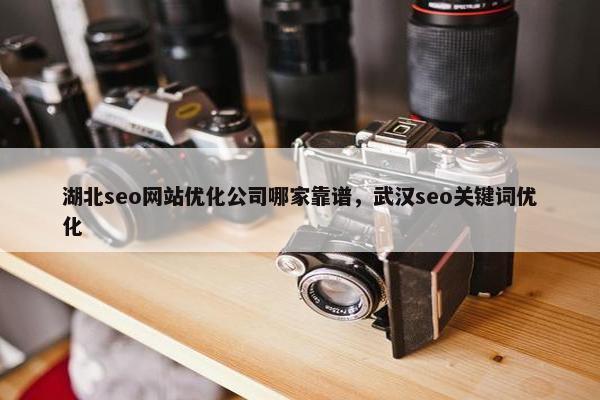 湖北seo网站优化公司哪家靠谱，武汉seo关键词优化-第1张图片-冷动云