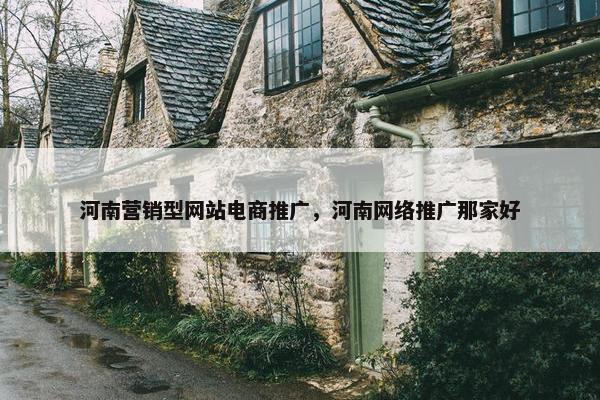 河南营销型网站电商推广，河南网络推广那家好-第1张图片-冷动云