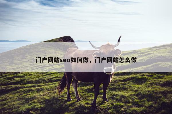 门户网站seo如何做，门户网站怎么做-第1张图片-冷动云