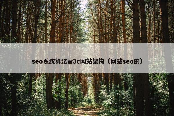 seo系统算法w3c网站架构（网站seo的）-第1张图片-冷动云