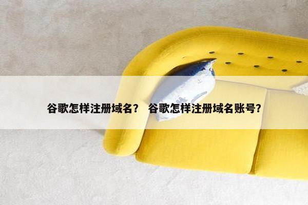 谷歌怎样注册域名？ 谷歌怎样注册域名账号？-第1张图片-冷动云