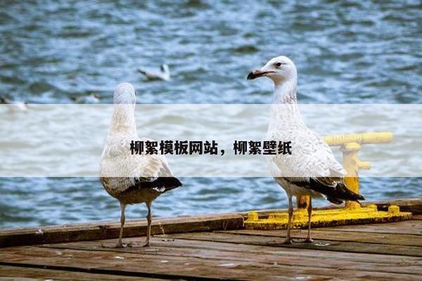 柳絮模板网站，柳絮壁纸-第1张图片-冷动云