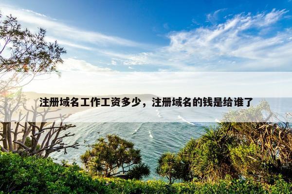 注册域名工作工资多少，注册域名的钱是给谁了-第1张图片-冷动云