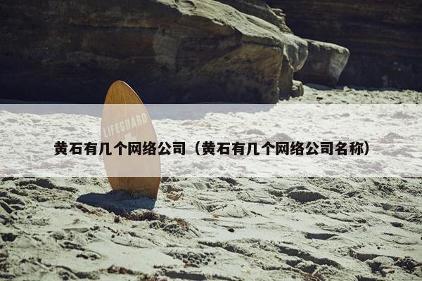 黄石有几个网络公司（黄石有几个网络公司名称）-第1张图片-冷动云