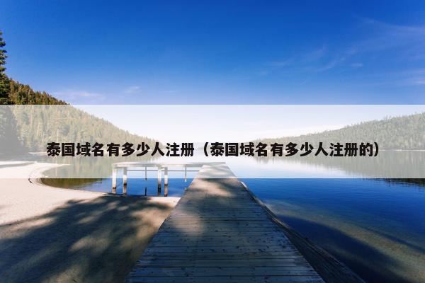 泰国域名有多少人注册（泰国域名有多少人注册的）-第1张图片-冷动云