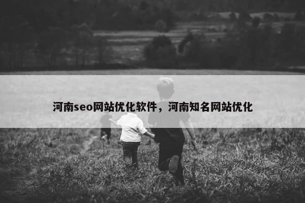 河南seo网站优化软件，河南知名网站优化-第1张图片-冷动云