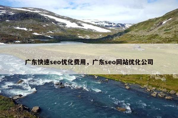 广东快速seo优化费用，广东seo网站优化公司-第1张图片-冷动云