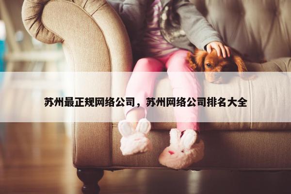 苏州最正规网络公司，苏州网络公司排名大全-第1张图片-冷动云